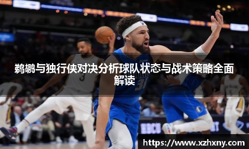 鹈鹕与独行侠对决分析球队状态与战术策略全面解读